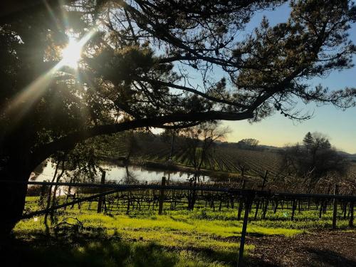 Galeriebild der Unterkunft Chardonnay Lodge in Napa