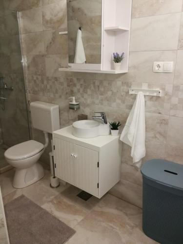 a bathroom with a toilet and a sink and a mirror at Apartman Unka in Metković