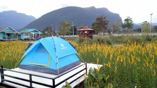 a blue tent sitting in a field of flowers at Ban Thung Talay Mok Chiangdao in Chiang Dao