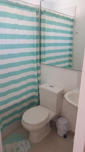 a bathroom with a white toilet and a shower at Los robles II Pucon Casa Preciosa, FULL EQUIPADA in Pucón