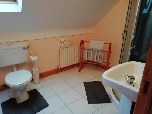 a bathroom with a toilet and a sink at Joe and Aggies in Kilclooney