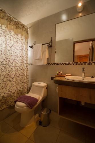 a bathroom with a toilet and a sink at Hotel El Molino in Santa Cruz