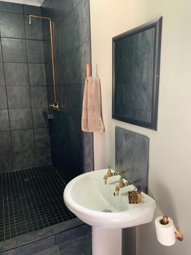 a bathroom with a sink and a shower at Country Lodge in Upington