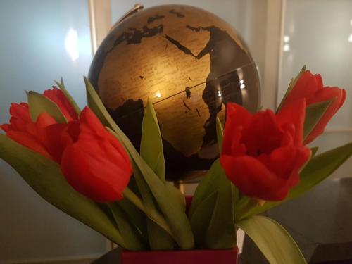 a vase filled with red tulips and a globe at Hostel Nuremberg in Nuremberg
