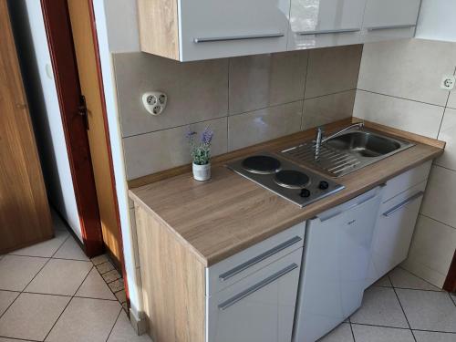 Gallery image of Guest House Renata in Plomin