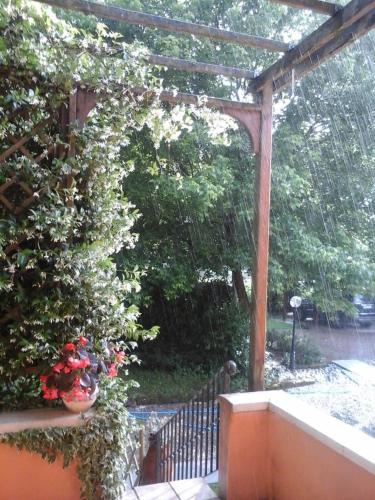 a garden with a pergola and a plant with roses at B&B Mo Va Là in Budrio