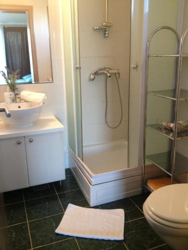 a bathroom with a shower and a sink and a toilet at Apartments&Rooms Jelavić in Seget Vranjica