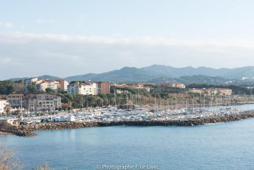a harbor with a bunch of boats in the water at L'Ophélie in Six-Fours-les-Plages