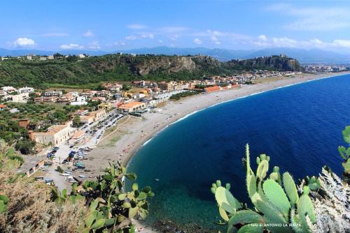a view of a beach with a cactus at Manzoni Elements in Milazzo