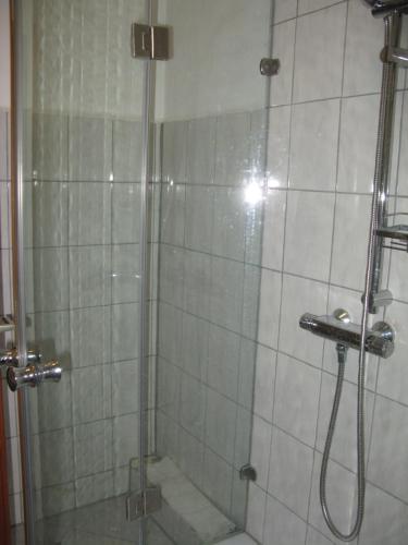 y baño con ducha y puerta de cristal. en Ferienwohnung Gohlke, en Kamschlacken