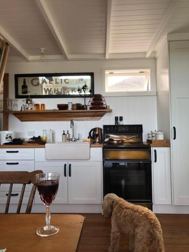 a dog standing in a kitchen with a glass of wine at Little Church Bay in New Plymouth