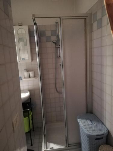 a shower with a glass door in a bathroom at Casetta next to the Creek Dino Buzzati in Belluno