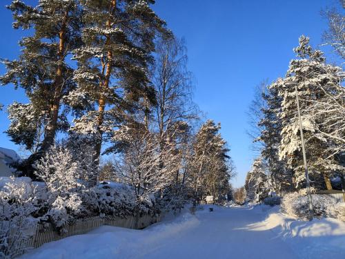 a group of trees covered in snow next to a fence at Lovely Mint Garden Studio in Vantaa