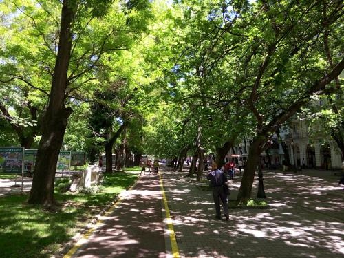 a man walking down a sidewalk in a park with trees at My Home, with free secure parking in Stara Zagora