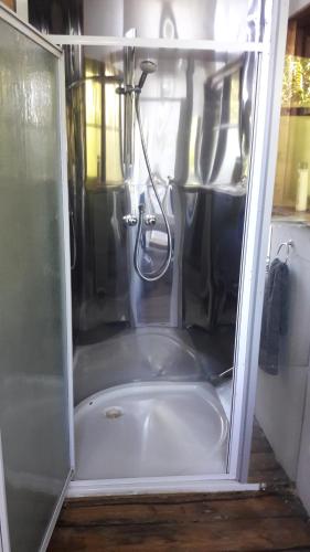 eine Dusche in einem Badezimmer mit einer Glastür in der Unterkunft Evergreen Cabin Karkloof in Yarrow