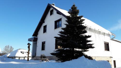 Drzewo świąteczne przed białym budynkiem ze śniegiem w obiekcie Ferienwohnung Hauptmann w mieście Frauenwald