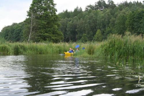 Gallery image of Willa Wanda - duży ogród z hot-tube i sauna in Sztum