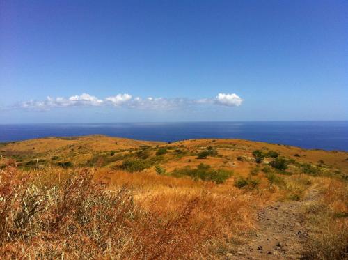 a view of the ocean from the top of a hill at L'Orée du Maïdo in Le Guillaume