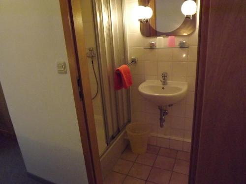 W łazience znajduje się umywalka oraz prysznic z lustrem. w obiekcie Pension Bodetal w mieście Elend