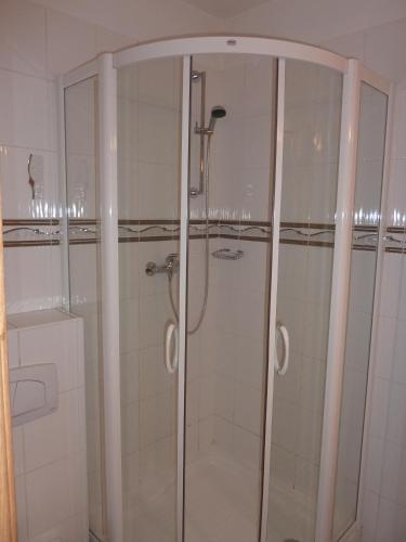 a shower with glass doors in a bathroom at Hotel & Restaurant Na Fryštátské in Karviná