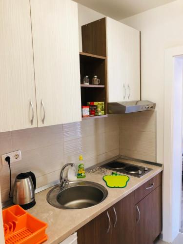 Kuchyň nebo kuchyňský kout v ubytování Apartment Panorama Mostar