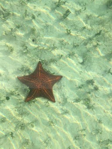 Fotografie z fotogalerie ubytování Ocean Tally v destinaci Upper Bogue