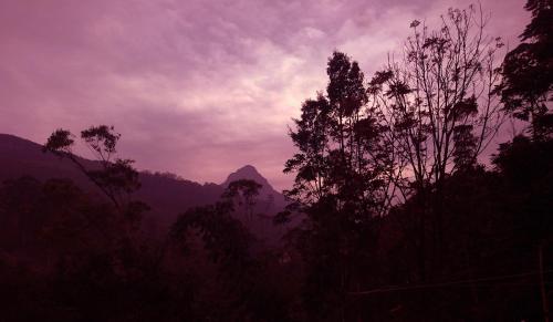 a silhouette of a mountain with trees in the foreground at Daffodils Inn in Adams Peak