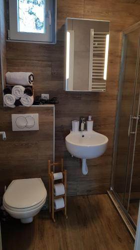 La salle de bains est pourvue d'un lavabo, de toilettes et d'un miroir. dans l'établissement Apartman Jovanovic Kopaonik, à Kopaonik
