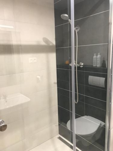a bathroom with a shower with a toilet and a sink at Apartment Poprad in Poprad