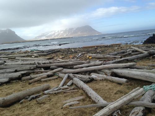 a pile of logs on a beach with the ocean at Urdartindur Guesthouse and Cottages in Norðurfjörður