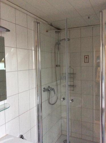 baño con ducha y puerta de cristal en Apartment Jane, en Bad Schonborn