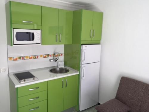 プエルト・デ・モガンにあるLos Angeles Mogan Apartamentosの小さなキッチン(緑のキャビネット、白い冷蔵庫付)