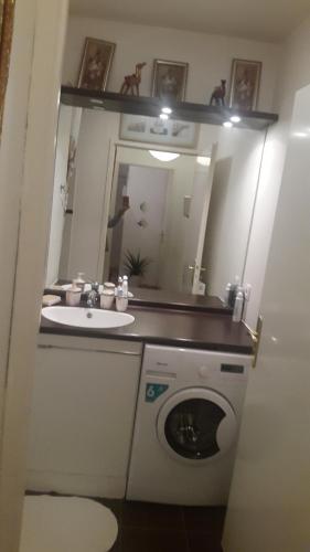 une salle de bain avec une machine à laver et un lavabo dans l'établissement 8 Rue Brise Echalas, à Saint-Denis