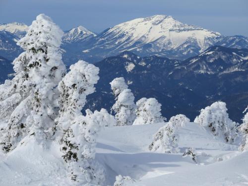 a group of snow covered trees on top of a mountain at Gästehaus Wasserburger in Kernhof
