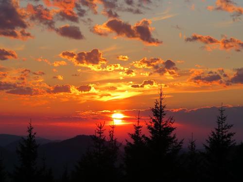 a sunset over the mountains with trees in the foreground at Gästehaus Wasserburger in Kernhof
