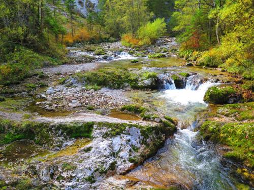 a stream in the woods with rocks and waterfalls at Gästehaus Wasserburger in Kernhof