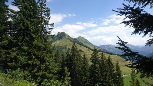 a view of a mountain with trees in the foreground at Haus Furka in Damuls