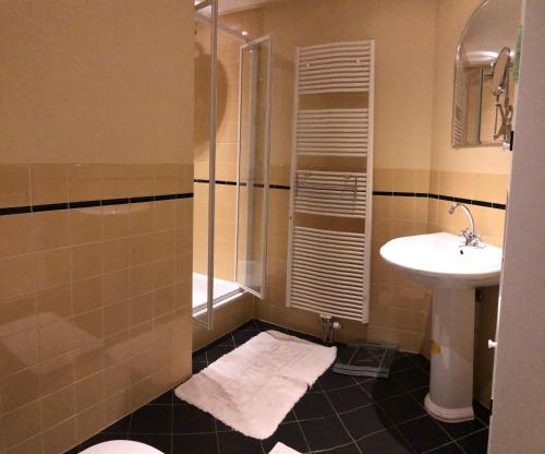 a bathroom with a shower and a sink at Apartment in Romantic Villa in Bilthoven