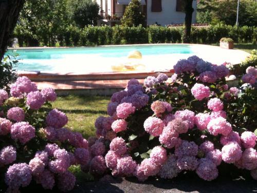 a bunch of purple flowers in front of a swimming pool at Villa La Ginestra - Charming Country Home in Capolona