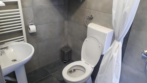 Koupelna v ubytování Smestaj Pandora Sobe sa kupatilom