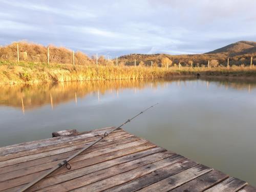 a boat tied to a dock on a lake at Agriturismo La Talpa in Marsiliana