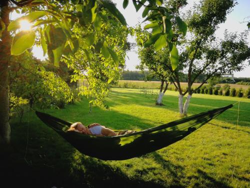 Taman di luar Agroturystyka "Dobre czasy"