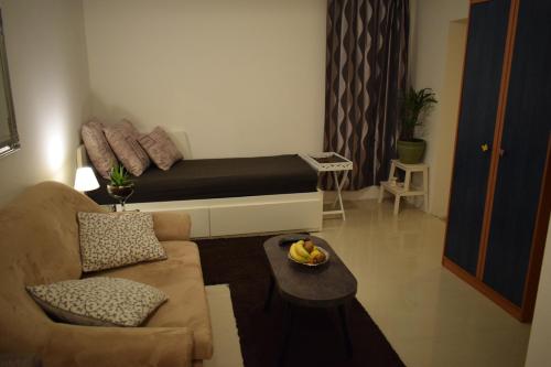 Posezení v ubytování Studio-apartman Relax