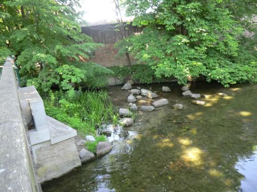 a stream of water with rocks in a garden at Seehotel Zum Löwen in Strasen