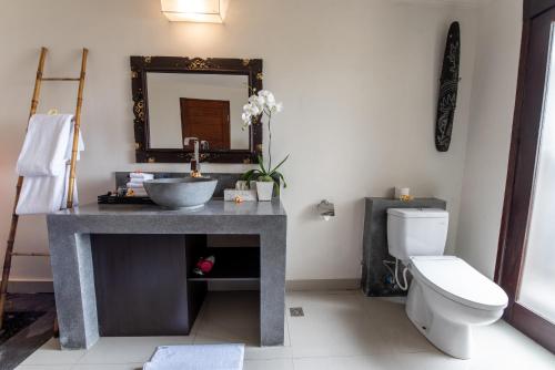 a bathroom with a sink and a toilet and a mirror at Villa Cendrawasih Ubud in Tegalalang