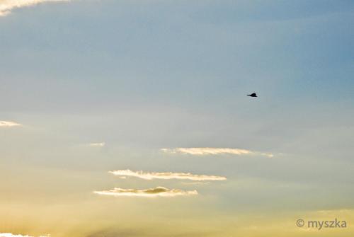 a kite is flying in the sky at Wonderland in Winterton