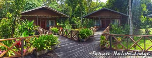 Taman di luar Borneo Nature Lodge