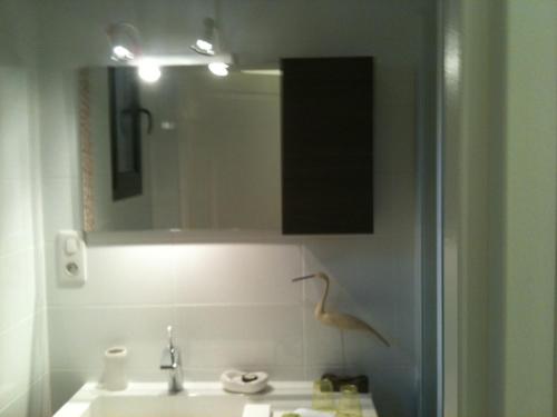 a bathroom with a sink and a mirror at La Villa Antalya in Ault
