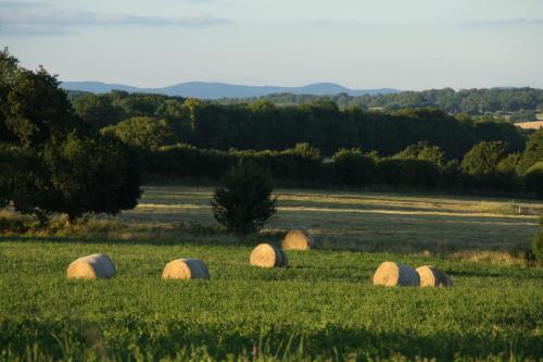 Domaine de Savigny – Photos 3