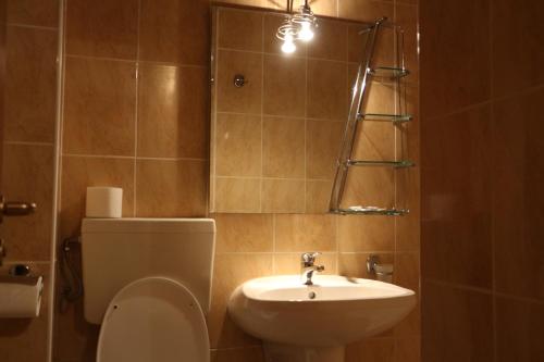La salle de bains est pourvue de toilettes et d'un lavabo. dans l'établissement Hotel Caras, à Oraviţa